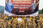 Luar Biasaa..!! Didukung Pemkab, Polres Karo Sukses Ciptakan Ketahanan Pangan di Desa Kuta Bangun Tiga Binanga..!!