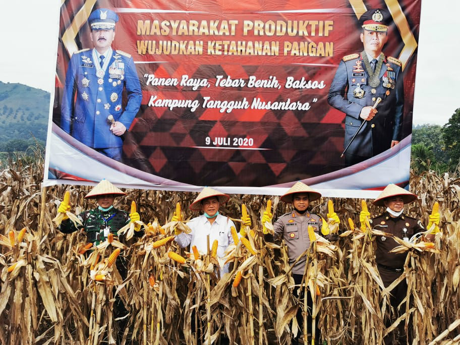 Luar Biasaa..!! Didukung Pemkab, Polres Karo Sukses Ciptakan Ketahanan Pangan di Desa Kuta Bangun Tiga Binanga..!!