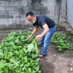 Dukung Ketahanan Pangan, AKP Martualesi Sitepu Budidayakan Tanaman Sayuran