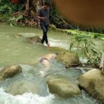 Hiii..!! Ada Mayat Terapung di Sungai Belumai Deli Serdang..!! Keluarga Siapa Ini..??