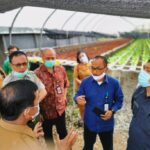 Menteri Pertanian akan Canangkan “Gerakan Tiga Kali Ekspor” di Karo