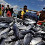 Gawatt..!! Ada Patogen Corona, China Larang Produk Laut Asal Sumatera Utara..!!