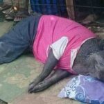 Babi Aneh..!! Diusir Nangis, Tidur Pakai Tikar, Bantal dan Selimut..!!