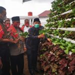 Wagub Sumut Resmikan Pilot Projeck Menuju Desa Madani dan Panen Perdana Kebun Sayur Hidroponik di Karo..!!