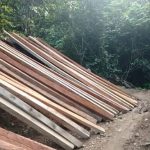 Gawatt..!! Kek Mana Ini Pak Kapolda..!! Perambahan Hutan Merajalela di Buluh Awar..!! Situs Sejarah GBKP Terancam “Terkubur”..!!
