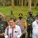 Auummm..!! Awas..!! Harimau Sumatera “Gentayangan” di Gunung Sibayak..!!