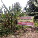 Kek Mana Ini Bupati Deli Serdang..!! Pengadaan Lahan Pasar Pancur Batu Terancam..!! Dana Miliaran Terduga tak Jelas Rimbanya..!!