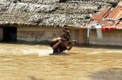 Direndam Banjir..!! 27 Ribu Warga Aceh Mengungsi..!!