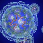 Gawat Broo..!! Varian Baru Virus Corona Menyebar ke Tiga Negara..!!