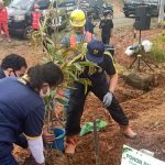 Woww…Mantap Kali Broo..!! Diresmikan Menteri PUPR, 450 Bibit Buah Ditanam di Bendungan Lau Simeme..!! Hasilnya untuk Rakyat..!!