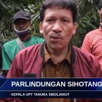 TANAM POHON PENGHIJAUAN..!! KOPTAN CITRA LESTARI TEMUKAN HUTAN TAHURAN DIGARAP WARGA..!!
