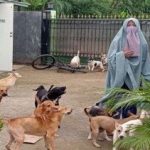 Biar Gak Gagal Faham..!! Ketua Komisi Fatwa MUI: Tak Ada Larangan Rawat Anjing Liar..!!