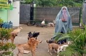 Biar Gak Gagal Faham..!! Ketua Komisi Fatwa MUI: Tak Ada Larangan Rawat Anjing Liar..!!