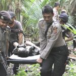 Gas Trus Pak Poll..!! Polisi-KKB “Perang”..!! Sembilan Bandit KKB Tewas..!!