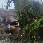 Hiii..!! Pohon Raksasa Tumbang..!! Pas Dipotongi Berdiri Lagi..!! Satu Tewas, Dua Luka..!!