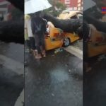 HUJAN DERAS DI KOTA MEDAN..!! POHON BERTUMBANGAN TIMPA MOBIL WARGA..!!