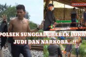 LAPAK JUDI DAN NARKOBA ORANG PINGGIRAN DIGEREBEK POLSEK SUNGGAL..!!
