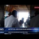 PASCA DIGEREBEK..!! SIBIRU-BIRU JADI KOTA JUDI DAN NARKOBA..!!