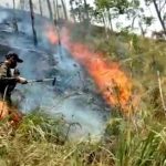 Duhh..!! Hutan Tongging Terbakar..!! Petugas Damkar Kewalahan..!!
