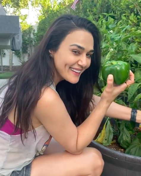 Aktris Cantik Bollywood Ini Jadi Petani..!!