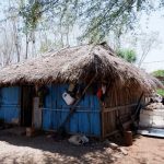Tragiss..!! Peraih Emas PON Papua Itu Tinggal di Rumah Beratap Daun, Berdinding Pelepah Pohon dan Berlantai Tanah..!!