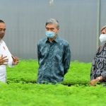 Gas Poll…Mr President..!! Jokowi Paksa Perusahaan Sawit dan Tambang Membuat Pembibitan Pohon..!!