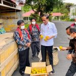 Sesuai Nama: Jeruk Madu Liang Melas Datas Berbuah Manis..!!