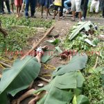 Kepergok Curanmor..!! Tiga Anak Tembung Tewas Digimbali Massa di Penungkiren Deli Serdang..!!