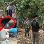 Lapak Judi Dan Sabu Sibiru Biru “Diobrak-Abrik”Polsek Dan Koramil 04/SBB