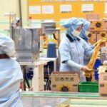 Anda Tenaga Kerja Bergaji di Bawah Rp 3 Juta..?? Siap-siap Anda Dapat Bantuan Subsidi Upah dari Pemerintah..!!