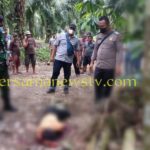 Deli Serdang Geger..!! Tarigan Tewas Mandi Darah Dibacoki Adik Kandung..!!