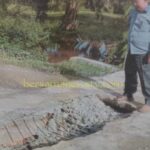 Alamakk…Langkat Memang Ngerii..!! Baru Dibangun 5 Bulan, Plat Duiker Desa Pematang Cengal Barat Ambruk..!!