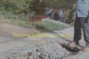 Alamakk…Langkat Memang Ngerii..!! Baru Dibangun 5 Bulan, Plat Duiker Desa Pematang Cengal Barat Ambruk..!!