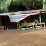 Ngeri Bahh..!! Gebrakan Kapolda Sumut tak Diterge, Mesin Judi Tembak Ikan “Merajalela” di Sibiru-biru..!!