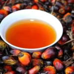 Rp 9000 Per Liter..!! Pemerintah Bangun Pabrik Minyak Goreng Merah Pertama di Sumatera Utara..!!