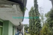 Alamakk..!! Tidak Terawat, Plafon SDN 106804 Desa Percut Rusak, Resplang Ditumbuhi Rumput..!!