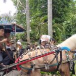 Pertanda Apa Ini..?? Jelang Deklarasi Capres, Kuda Delman Anies Baswedan Sempat Ngamuk tak Mau Jalan ke Kantor PKS..!!
