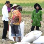 Paten Kalilah Pokoknya..!! Jokowi Mendadak Turun dari Mobil Temui Petani Panen Padi di Sawah..!!