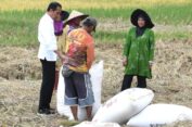 Paten Kalilah Pokoknya..!! Jokowi Mendadak Turun dari Mobil Temui Petani Panen Padi di Sawah..!!