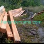 Mengerikan..!! Kawasan Hutan Kutalimbaru “Dibabat” Habis..!! Oknum Aparat dan Kehutanan Terduga Terlibat..!!