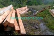 Mengerikan..!! Kawasan Hutan Kutalimbaru “Dibabat” Habis..!! Oknum Aparat dan Kehutanan Terduga Terlibat..!!