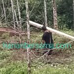 Gawat Bahh..!! Konflik “Berdarah” Berpotensi Terjadi di Lahan Hutan Desa Suka Makmur..!! Kadishut Sumut Diminta Wujudkan SKB..!!