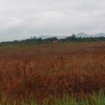 Kek Gini Baru Paten..!! Woiii..Pemkab Deli Serdang..Kelen Tengok Nihh..!! Ribuan Warga Miskin Terima Lahan Eks HGU dari Pemkab Aceh Jaya..!!