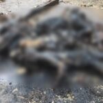 Sadis Kali Bahh..!! 19 Warga Sipil Dibakar Hidup-hidup, 8 Orang Anak-anak..!!