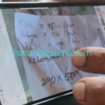 Ngerinya “Drakula Berbulu Domba” di Deli Serdang: Dinas Pendidikan Terduga “Sarang” Pungli, “Darah” Kasek Habis “Disedoti”..!!