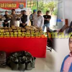 Kek Gini Kan Paten Laee..!! Bongkar Peredaran 173 Kg Ganja, Ormas “Angkat Topi” kepada Kapolresta Deli Serdang..!!