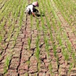 Dear Petani..!! Musim Kemarau Sudah Melanda Separuh Wilayah Indonesia..!!
