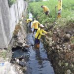 Mantul Abis Laee..!! Antisipasi Banjir, Kadis SDA BMBK Deli Serdang Kerahkan “Pasukan Kuning” dan Alat Berat Bersihkan Drainase di PS Tuan..!!