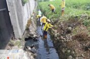 Mantul Abis Laee..!! Antisipasi Banjir, Kadis SDA BMBK Deli Serdang Kerahkan “Pasukan Kuning” dan Alat Berat Bersihkan Drainase di PS Tuan..!!