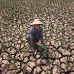 Siap-siap Kelen Yaa..!! Malapetaka Baru Sudah di Depan Pintu..!! Ekonomi “Galau”, Harga Pangan “Mencekik” Leher..!!